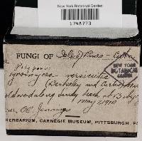 Thumbnail image of current specimen