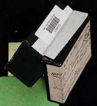 Thumbnail image of current specimen