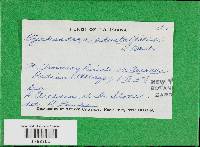 Image Associated With the Occurrence