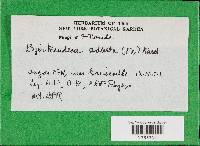 Image Associated With the Occurrence