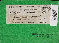 Image Associated With the Occurrence