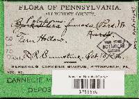 Image Associated With the Occurrence