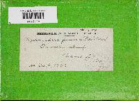 Image Associated With the Occurrence