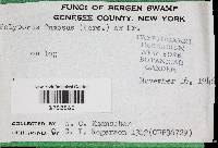 Image Associated With the Occurrence