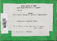 Image Associated With the Occurrence