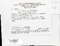 Thumbnail image of current specimen