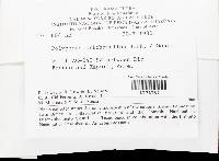 Thumbnail image of current specimen