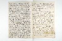 Schizophyllum amplum image