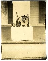 Echinodontium ballouii image