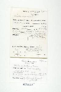 Thumbnail image of current specimen