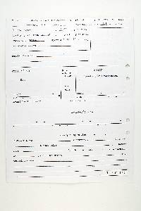 Earliella scabrosa image