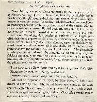 Stropharia elegans image