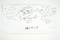 Thumbnail image of current specimen