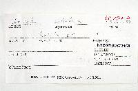 Thumbnail image of current specimen