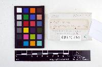 Image Associated With the Occurrence