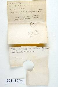 Thumbnail image of current specimen