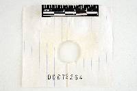 Thumbnail image of current specimen