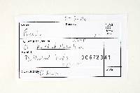 Thumbnail image of current specimen