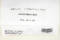Thumbnail image of current specimen