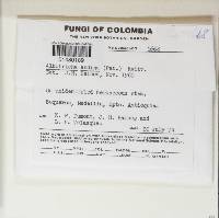 Image Associated With the Occurrence