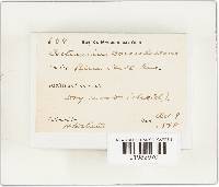 Image Associated With the Occurrence