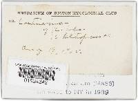 Thumbnail image of current specimen
