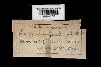 Image Associated With the Occurrence