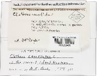 Image Associated With the Occurrence