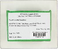 Thumbnail image of current specimen