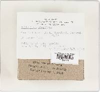 Entoloma abortivum image