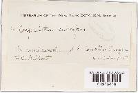 Image Associated With the Occurrence