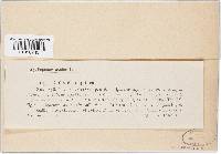 Image Associated With the Occurrence