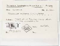 Image Associated With the Occurrence