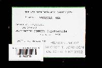 Image Associated With the Occurrence