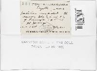 Image Associated With the Occurrence