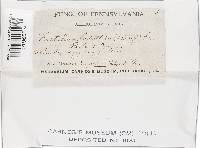 Image Associated With the Occurrence