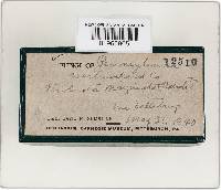 Image Associated With the Occurrence