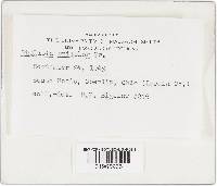 Image Associated With the Occurrence