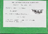 Image Associated With the Occurrence