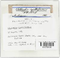 Image Associated With the Occurrence