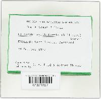 Image Associated With the Occurrence