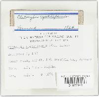 Image Associated With the Occurrence