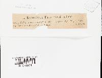 Thumbnail image of current specimen