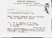 Pachykytospora alabamae image