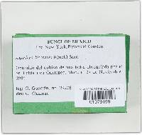 Agaricus bitorquis image