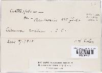 Image Associated With the Occurrence