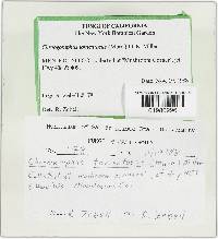 Image Associated With the Occurrence
