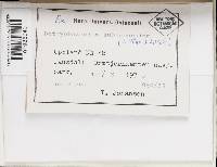 Image Associated With the Occurrence