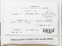 Thumbnail image of current specimen