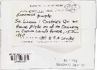 Image Associated With the Occurrence